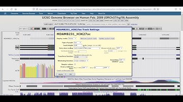 Uploading and Visualizing ChIP-Seq Data in the UCSC Genome Browser: A Step-by-Step Guide