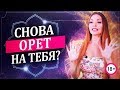 ОН БЫСТРО СТАНЕТ ПАИНЬКОЙ, ЕСЛИ ПРИМЕНИШЬ ЭТИ ТЕХНИКИ - Катрин Форс