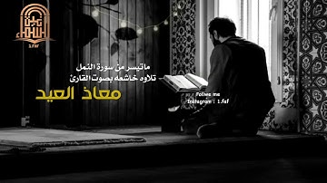 ما تيسر من سورة النمل تلاوة خاشعة بصوت القارئ : معاذ العيد
