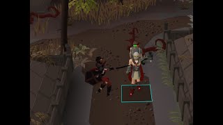 OSRS - Just A Few Vardorvis KC Examples (With A Tentacle Whip)