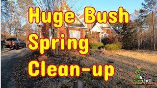 Timelapse of a Huge Bush Spring Clean-up for February 2022