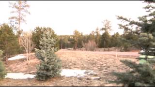 Colorado Authorities Seek 2 With Gang Ties