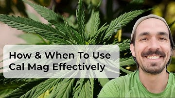 How & When To Use Cal Mag Effectively - (Part 2 of 3)