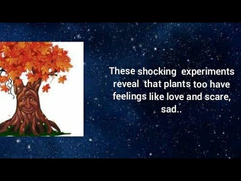 shocking experiments proved that plants and trees too have all emotions ...