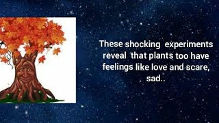 Garden shocking experiments proved that plants and trees too have all emotions Garden Guide