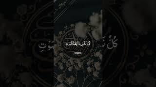 Kullu Nafsin 🥺 #Islamicvideo #Youtube