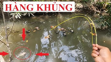 TỰ TAY LÀM CẦN CÂU CÁ BẰNG 1 NHÁNH TRE VÀ CÂU VỀ 1 THAU ĐẦY CÁ