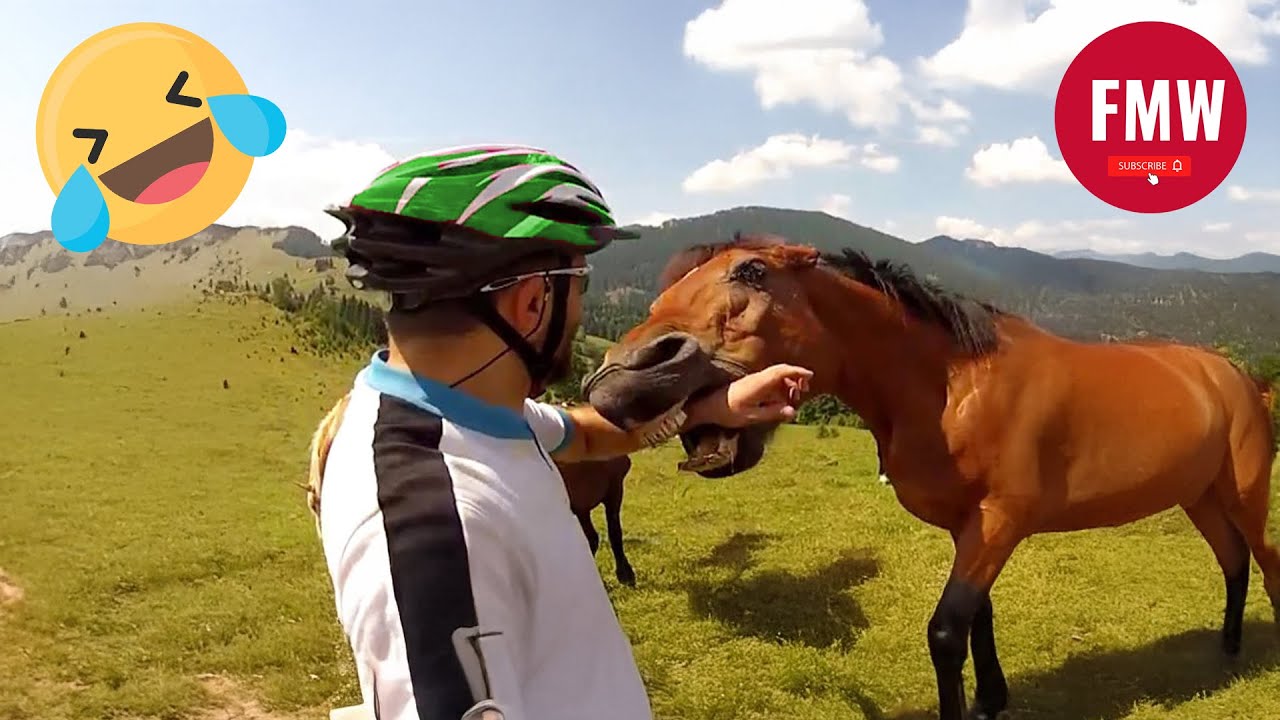 Funny & Hilarious People's Life 😂 