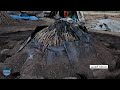 وثائقي صناعة الفحم في الرقة 31 10 2025