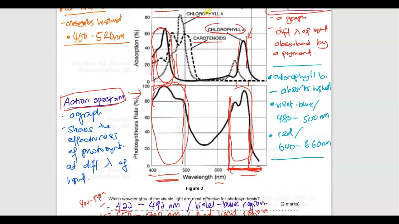 Tutorial Chapter 6: Part B | Q1  Q2