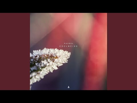 Faidel — is_17v (Warmth Remix)
