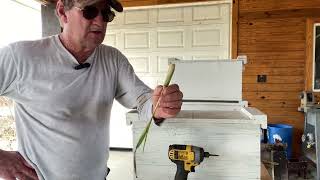 Beekeeping! I am setting up swarm traps! #beekeeping #bees #nature #foodforest #homestead #great
