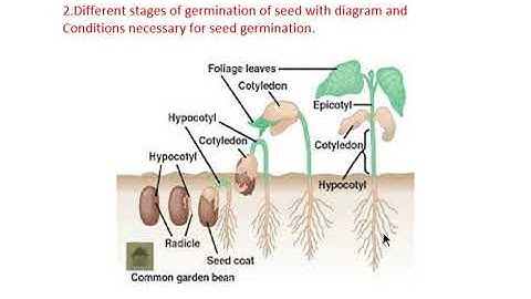 Bridge course for class 5 to 6 Science module 5