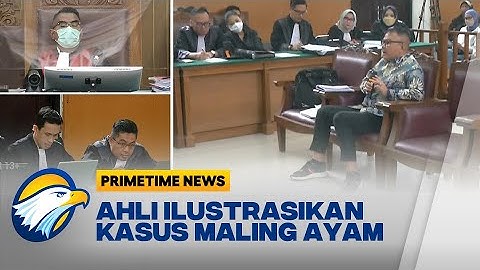 Ahli Bandingkan Kasus Maling Ayam di Sidang Sambo