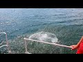 прыжок в озеро Дальян