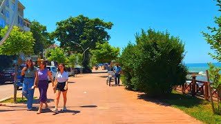 Turkey Walking tour  AKÇAKOCA CİTY JULY 2023