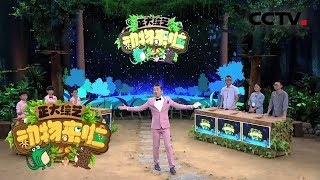 [ 正大综艺·动物来啦 ] 动物我知道20181118 | CCTV