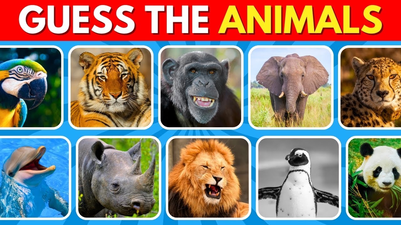 Can You Name All 50 Animals in 3 Seconds Each? 🐒⏱️
