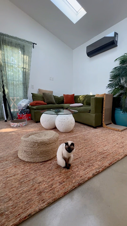 A home is not complete without some RUGS!