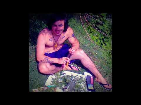 Xvale bubu   პარლამენტით და პარლამენტარი