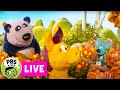 🟢 LIVE | Donkey Hodie Full Episodes 🌷 | PBS KIDS