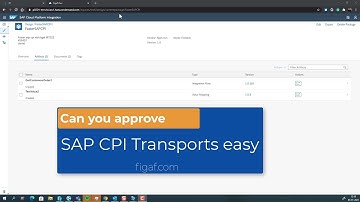 CPI Iflow tranport process