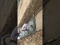 Lean Concrete #11 #shortsvideo