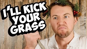 How People THINK Druids are Played VS How they