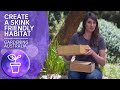 How to create skink friendly habitat in your garden | Australian Flora &amp; Fauna | Gardening Australia
