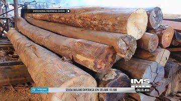 Polisi Tangkap Pengolah Kayu Ilegal di Riau