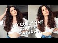 My Curly Hair Routine | 2b/2c Curls | Defined Soft Curls | 2020
