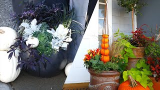 How to Design & Plant two Fall Color Container Gardens with Sarah by Rogers Gardens 505 views 7 months ago 15 minutes
