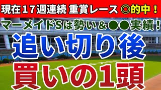 マーメイドステークス2020 は勢い＆●●実績！【追い切り後 ⇒ 買いの1頭】公開！
