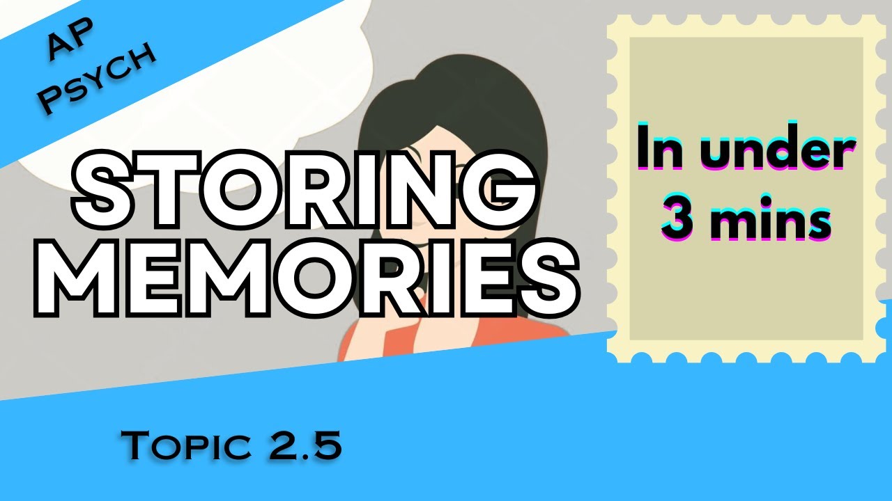 Storing Memories in Under 3 mins (AP Psychology Unit 2 Topic 5) 2.5 ...