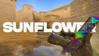 Sunflower🌻