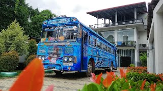 Vikum Creation Ranna