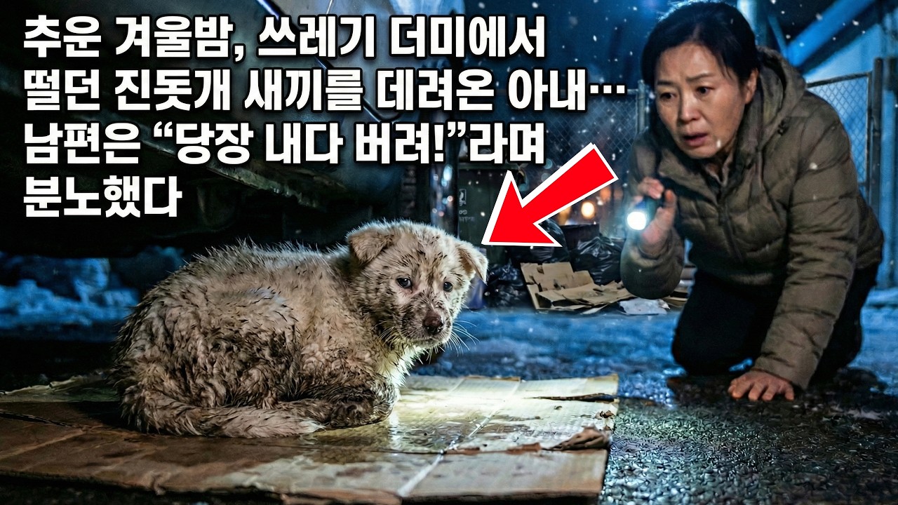 추운 겨울밤, 쓰레기 더미에서 떨던 진돗개 새끼를 데려온 아내… 남편은 “당장 내다 버려!”라며 분노했다