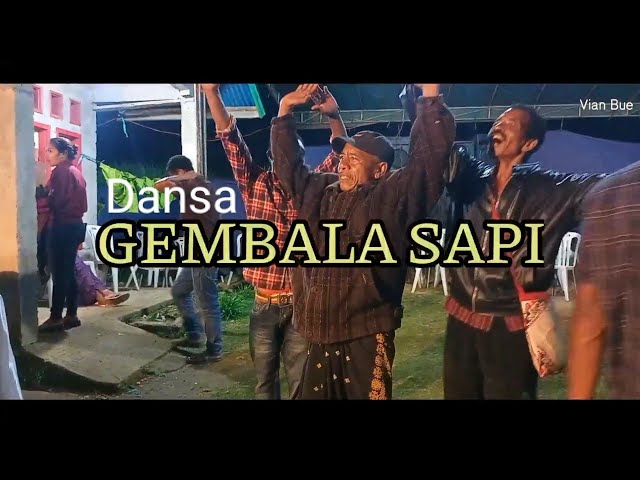 Dansa Timor Terbaru 2022 || Gembala Sapi || VIAN BUE class=