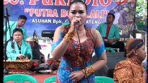 FULL Langgam Campursari PURBOYO