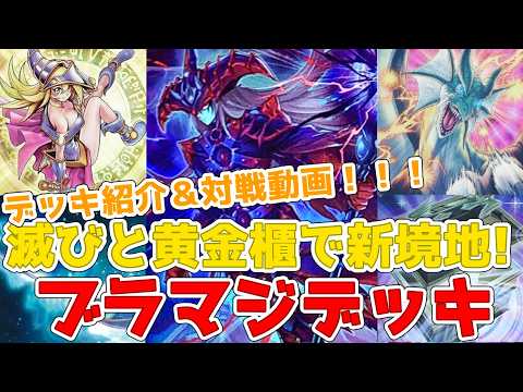 遊戯王 ブラックマジシャン 黄金櫃 滅びの黒魔術師 他多数 デッキパーツ Amazon.co.jp: ブラックマジシャンデッキ ブラマジデッキ 光の黄金櫃