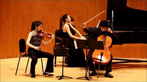 Mendelssohn Piano Trio No.1 Mvt.1
