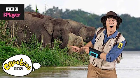 Andy's Top 5 Epic Fails | CBeebies