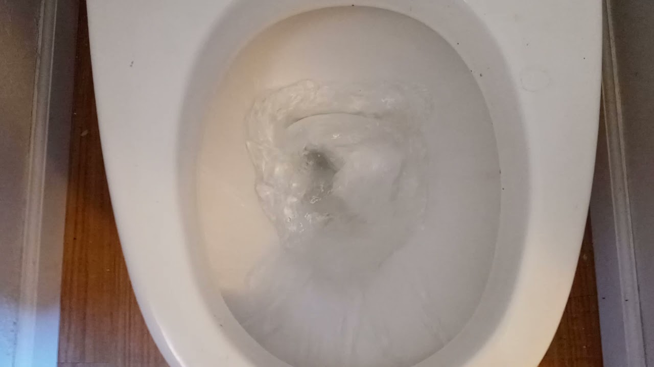 Eljer one piece installed at home owners flush test. YouTube