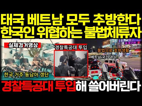 (속보) 활개치는 태국 베트남 중국 불체자들 싹 잡아 추방한다 한국의 강력대응에 난리난 태국정부 좋게 말하면 알아 들어야지 thumbnail
