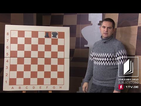 #ჭადრაკი გაკვეთილი XX - როქი  - 23 მაისი, 2020 #ტელესკოლა