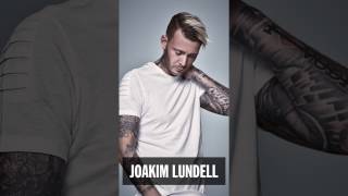 New Artist Alert - Joakim Lundell