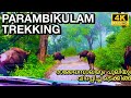      parambikulam trekking  elephant song trekking trail  4k u.