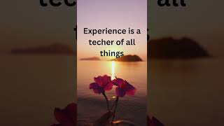 #life  quotes for all people in the world. #motivation #quotes