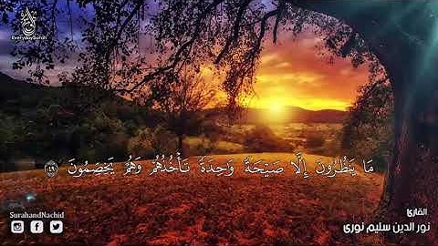 سورة يس   نور الدين سليم نورى  كاملــــه  HD