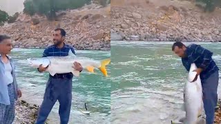 صید ماهی سونگ به روش سنتی و بدون چوب و چرخ ماهیگیری - Fishing without rod and reel